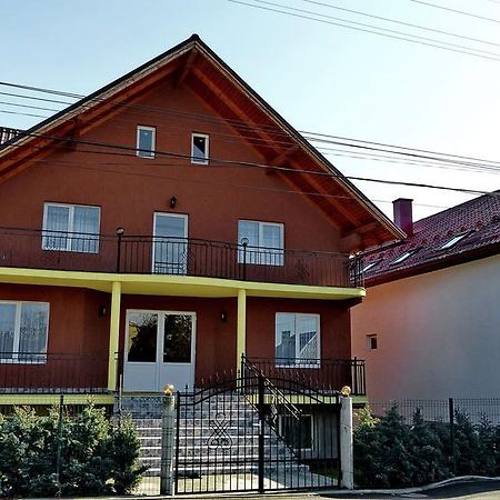 Pensiunea Magnolia Ocna Şugatag Екстериор снимка